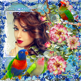 com.vt.bird.photo.frame