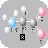 golestan.asidhayamine