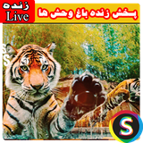 Sadroid.LiveTvZoo