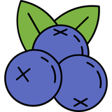 heydargoy.iran.regime.regime