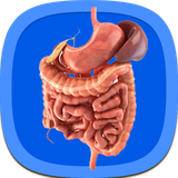 com.bartar_books.govaresh