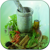 zenderood.atari.book