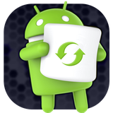 iappsinc.systemsoftwareupdate