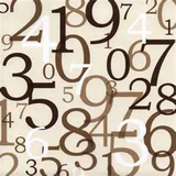 com.Divisor.PrimeOrPrefect