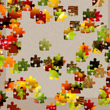 com.altarsoft.jigsawpuzzles3