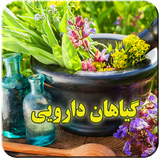 com.shadan.khavasgihandaoye