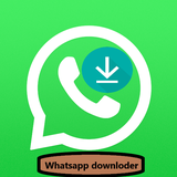 com.parsenab.statussaverr