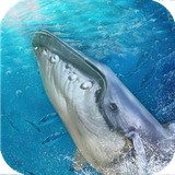 com.duolabz.game.bluewhalechallenge