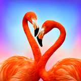 com.beautifywallpapers