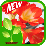 ir.tinasoft.gardening_new