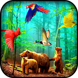 com.forest.birds.free