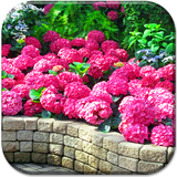 com.MagicGardenLiveWallpaperApp