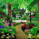 com.TheBeautifulFlowerGarden.abidah