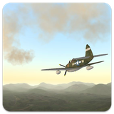 com.DreamingEarthling.WWIIWarbirds