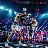 learnmuaythai.aprendermuaythai.freemuaythai