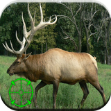 com.andromo.dev493095.app497502