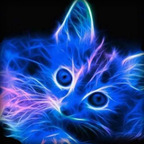 com.myapp.Neon.Animal.Wallpaper