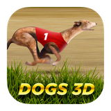 com.inbet.dogs3d