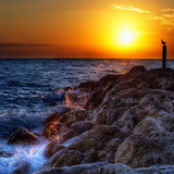 com.wazeerlala.birdfly.hdrlivephotos