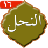 com.kami.sorehalnahl