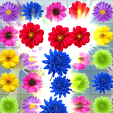 com.icecreamstudio.FlowerCrush