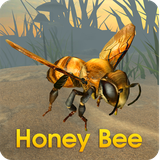 com.insecto.honey.bee