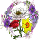 com.MTAH.naghashigolifree