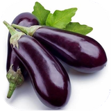didar.badamjan