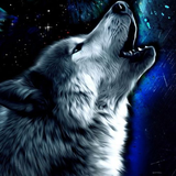 co.ad.wolfwallppaer