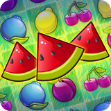 com.magmamobile.game.FruitParty