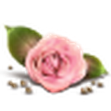 com.ghasemiyan.nedayeshgh.AOTYGFIISHBWOkgg