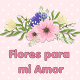 com.newgenerationapps.FloresParaMiAmor