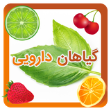 com.topdevelopers.mvehha