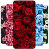 com.hdwallpaper.flower.flowerwallpaper