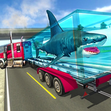 god.truck.sharc13
