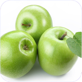 shik.tebsonativamokamel