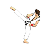 game.FinalKarateDemo