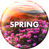 com.david_wallpapers.spring