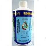 shafagh.nitrobenzenha