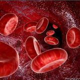 com.lolol.pishgirikhooni