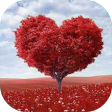 com.sra_tx.eshgh