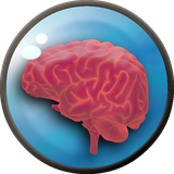 com.mandmstudio.hooshebartar2