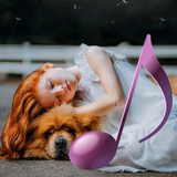 com.assets.effective.mozartsleep