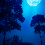 com.maxelus.livewallpaper.nature