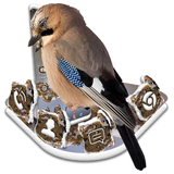 com.themesgarden.jay.bird