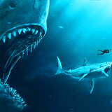 com.aakkuuapps.sharkhunter