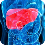 zemestan.bimarihayekabed