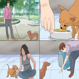 ir.tarbyat.kardane.sag