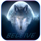com.khamarnache.wolfwallpapers.offline