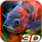 aquarium3d.wibr.com